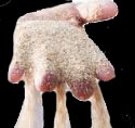Sand falling through fingers